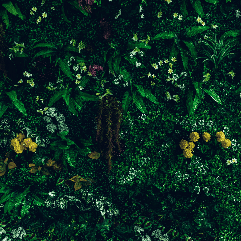 Transport background