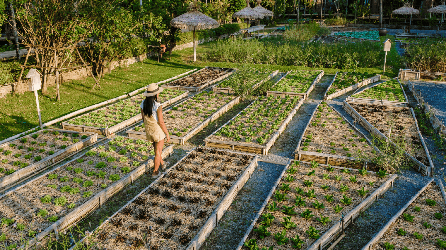 Eco Landscapes example 1