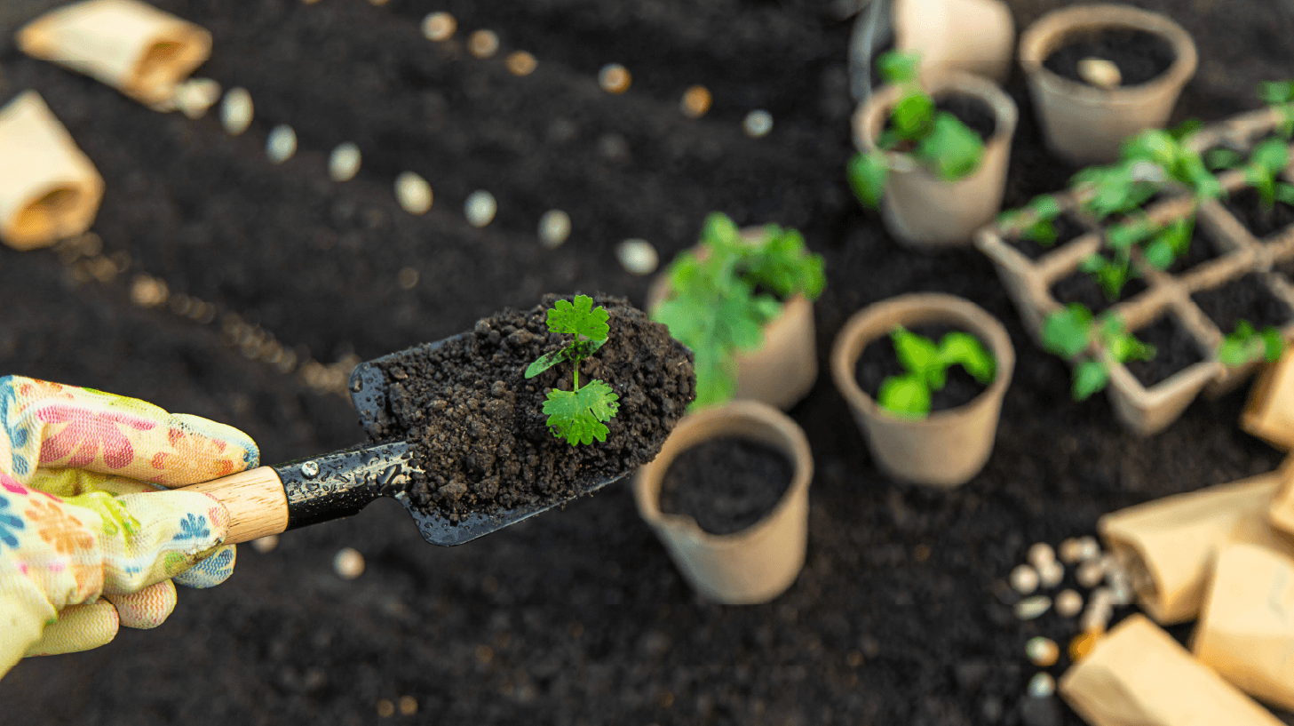 Permaculture Systems  example 1