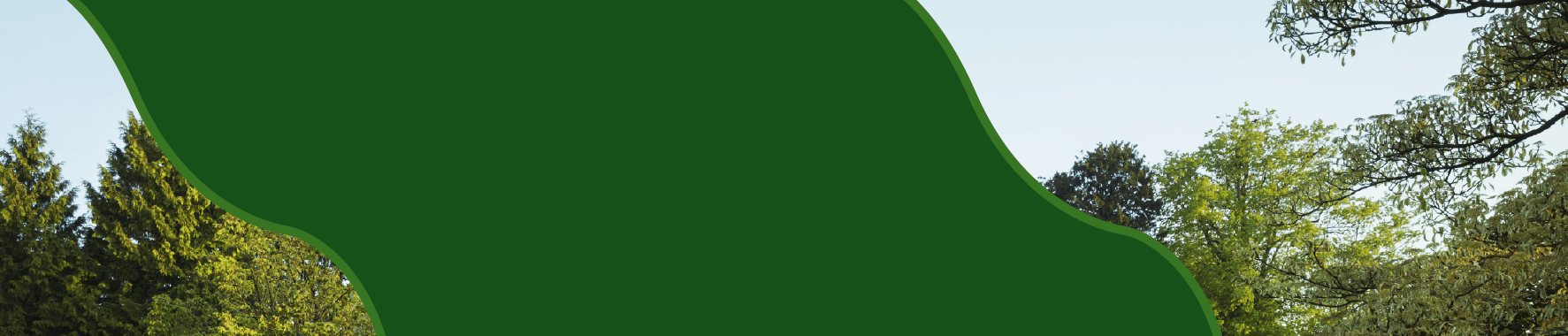 Pure Permaculture background