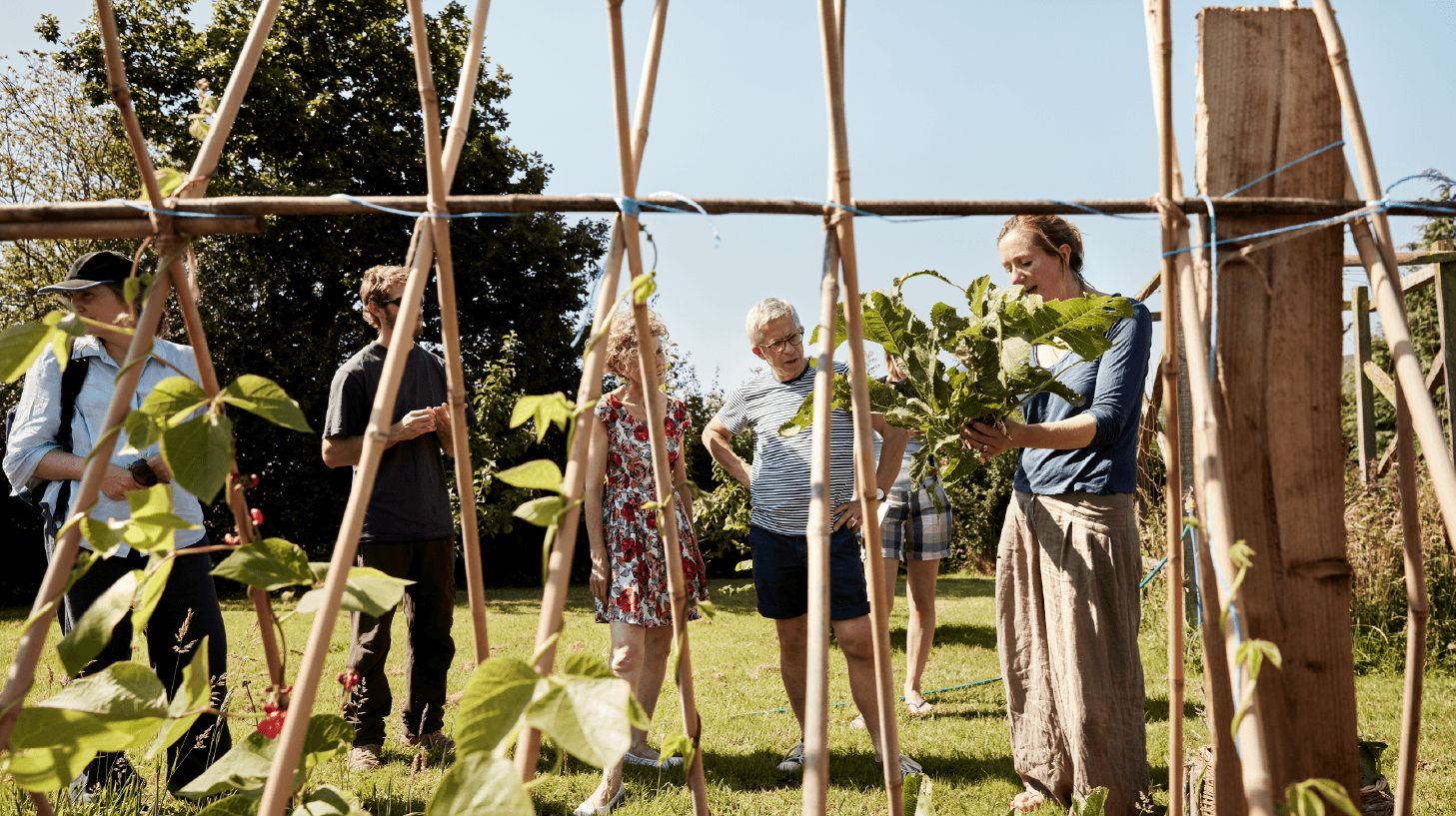 Green Beginnings example 1