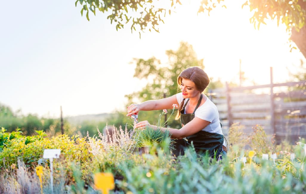 Reconnecting People, Nature, and Purpose